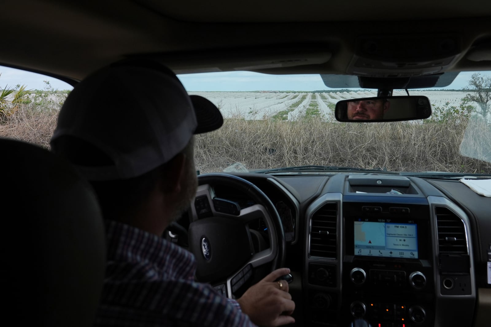 Trevor Murphy drives through his orange grove which is adjacent to a grove with newly planted trees Tuesday, Feb. 18, 2025, in Sebring, Fla. (AP Photo/Marta Lavandier)