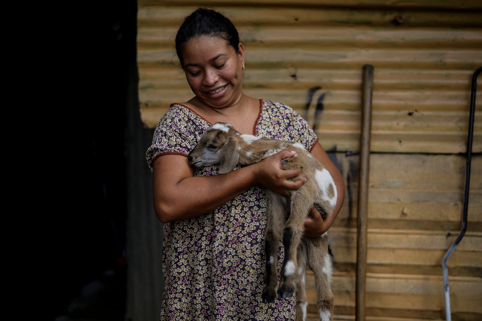 An Indigenous woman from the Wayuu community carries a little goat in the Somos Unidos neighborhood on the outskirts of Maicao, Colombia, Wednesday, Feb. 5, 2025. (AP Photo/Ivan Valencia)