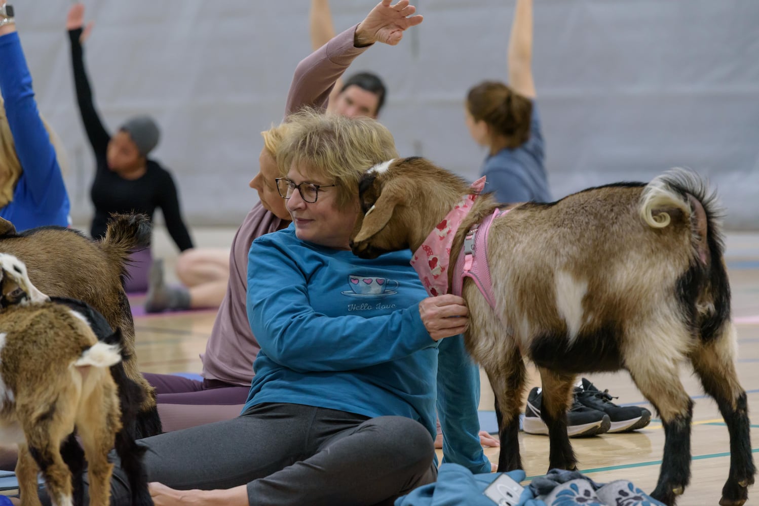 PHOTOS: Sweetheart Goat Yoga at Vandalia Recreation Center