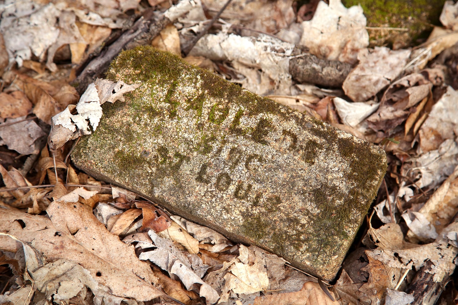 PHOTOS: Long-abandoned amusement park lives on in Possum Creek MetroPark