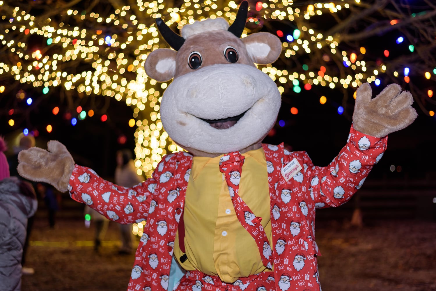 PHOTOS: Barnabe's Buckeye Tree Lighting Ceremony at Young's Jersey Dairy