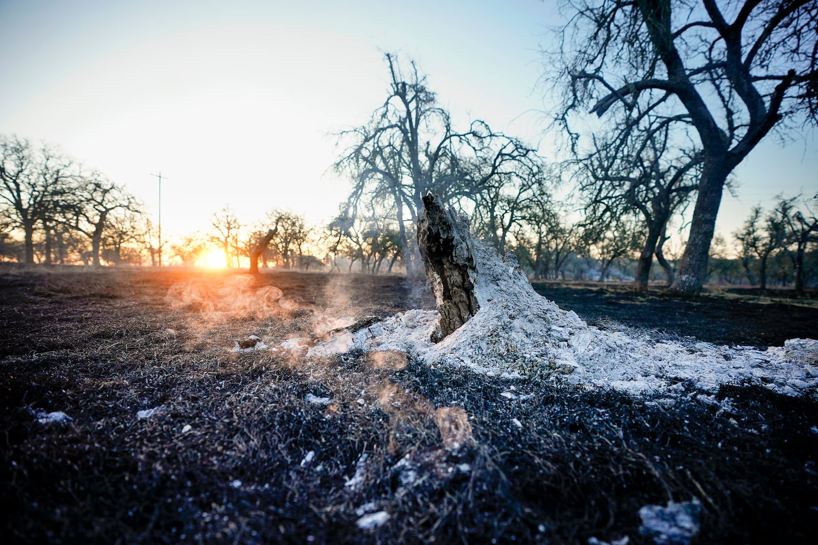 A stump smolders as a remnant of the Crabapple Fire over the weekend in Gillespie County, Texas, Sunday, March 16, 2025. (Robin Jerstad/The San Antonio Express-News via AP)