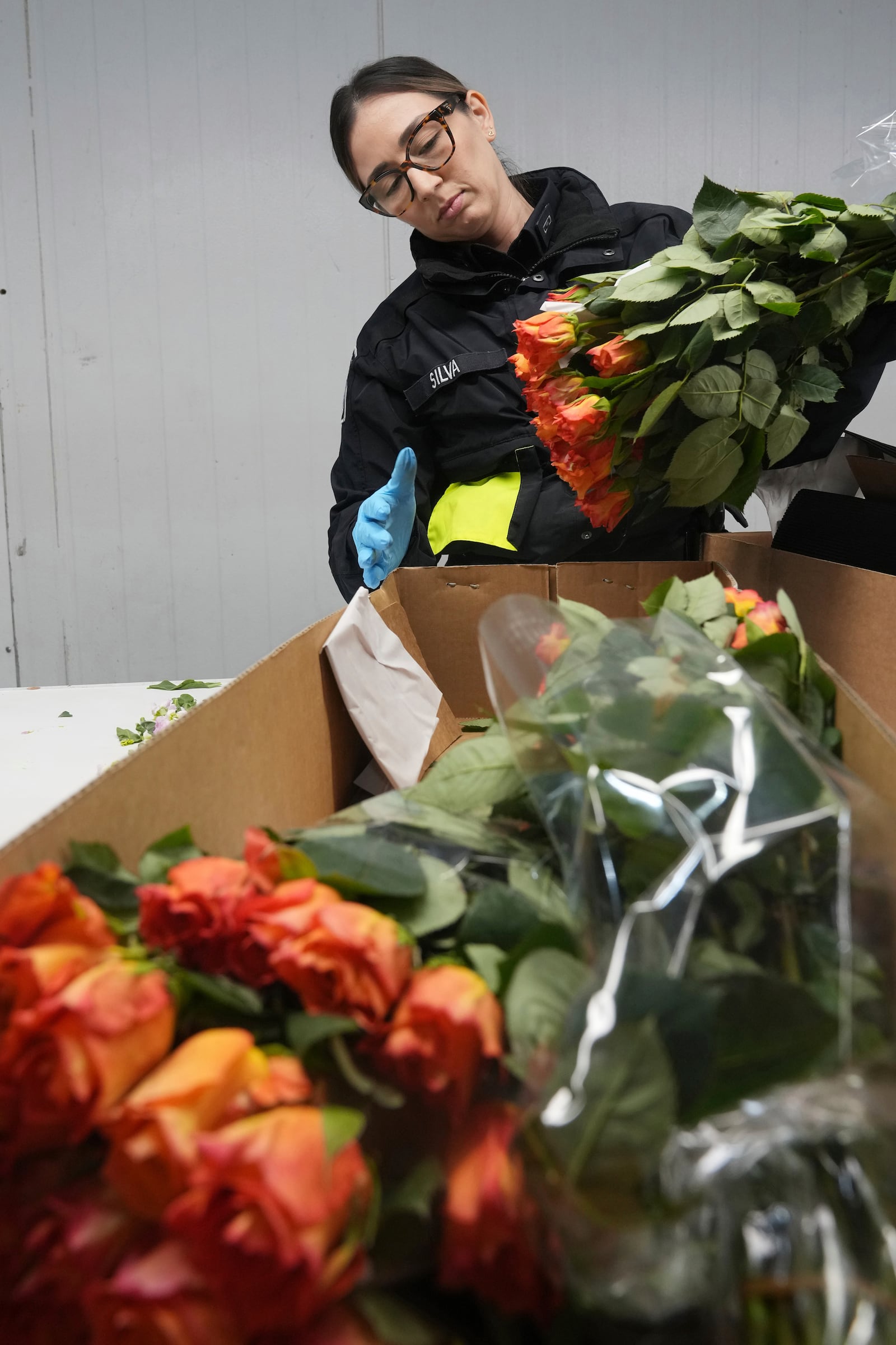 U.S. Customs and Border Protection agriculture specialist Shirley Silva inspects a box of roses that were grown in Ecuador, Friday, Feb. 7, 2025, at Miami International Airport in Miami. (AP Photo/Marta Lavandier)