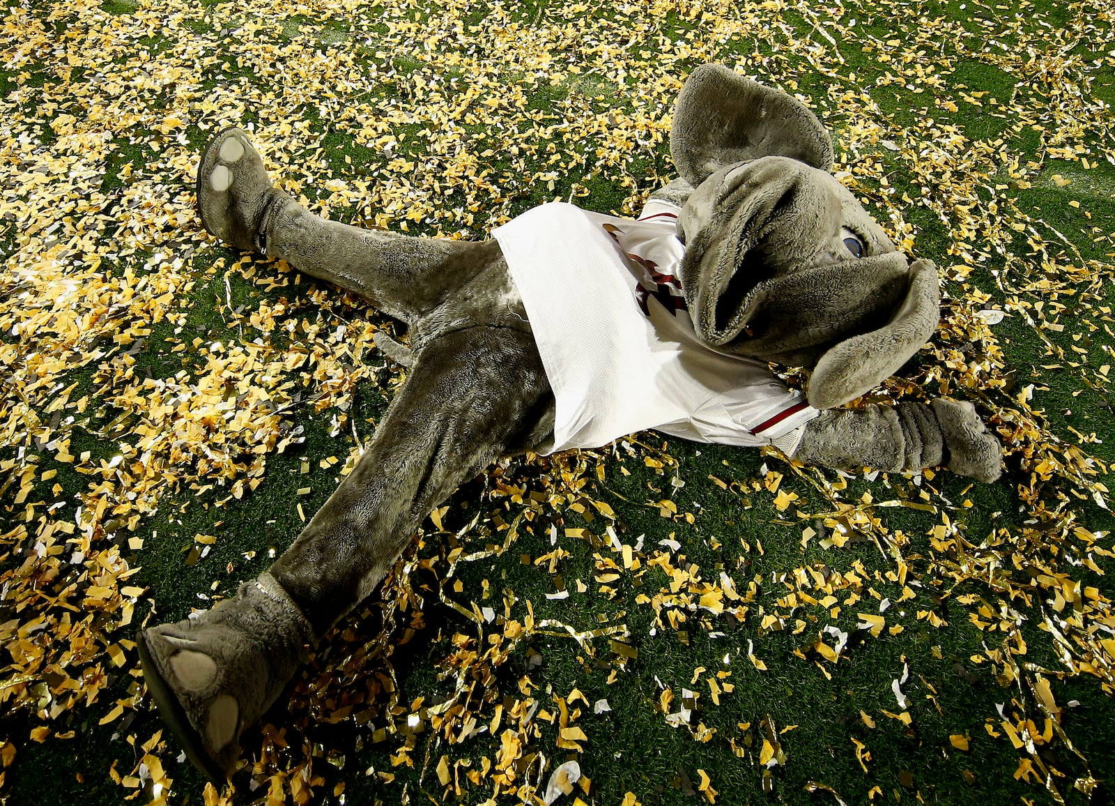 GLENDALE, AZ - JANUARY 11:  The Alabama Crimson Tide mascot Big Al celebrates after defeating the Clemson Tigers in the 2016 College Football Playoff National Championship Game at University of Phoenix Stadium on January 11, 2016 in Glendale, Arizona.  The Crimson Tide defeated the Tigers with a score of 45 to 40.  (Photo by Sean M. Haffey/Getty Images)