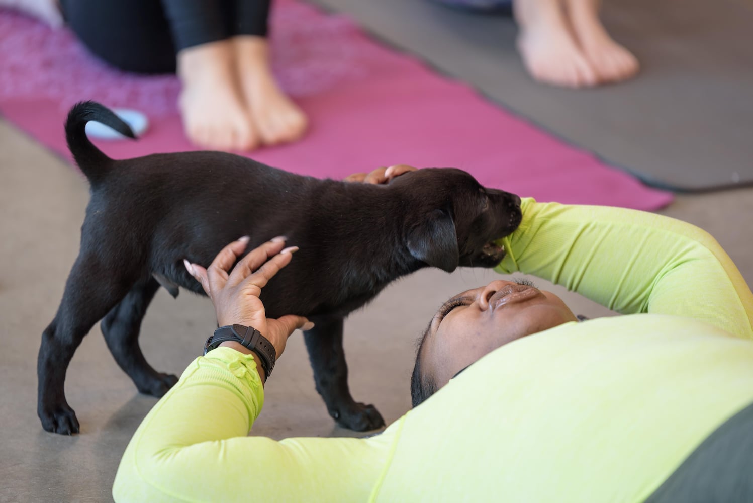 PHOTOS: Puppy Yoga at SICSA Pet Adoption and Wellness Center