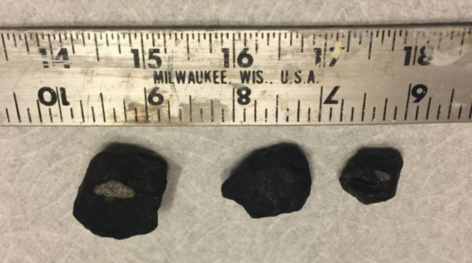 Meteorites from Michigan meteor. Photos from WDIV ClickonDetroit.com