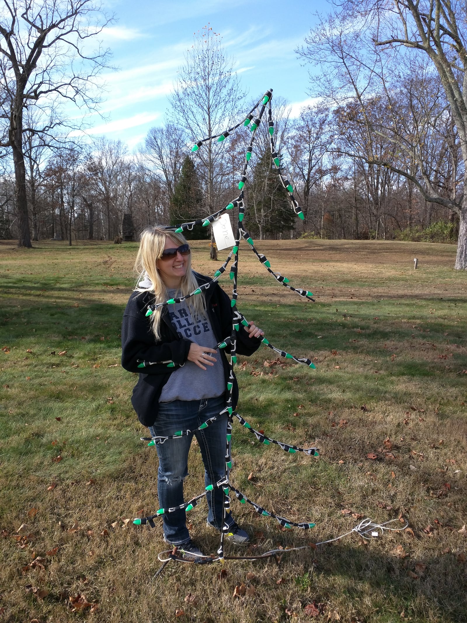 Amber Willeford, a co-chair of Eaton's Whispering Christmas, setting up the lights display.