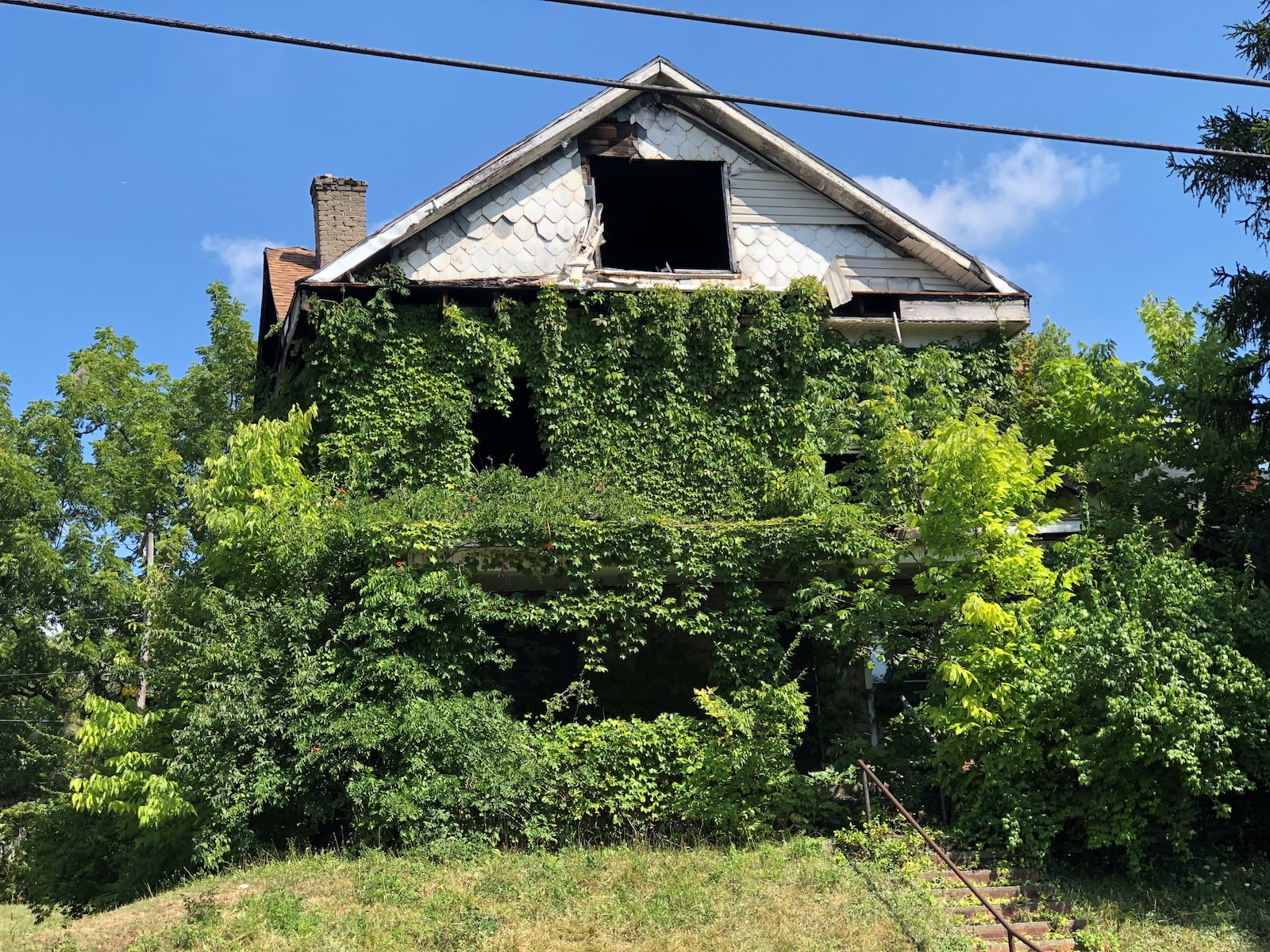 Overgrown vegetation in the front of a vacant and blighted home in West Dayton. CORNELIUS FROLIK / STAFF