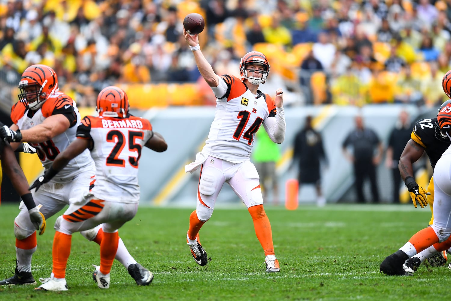 Photos: Bengals vs. Steelers