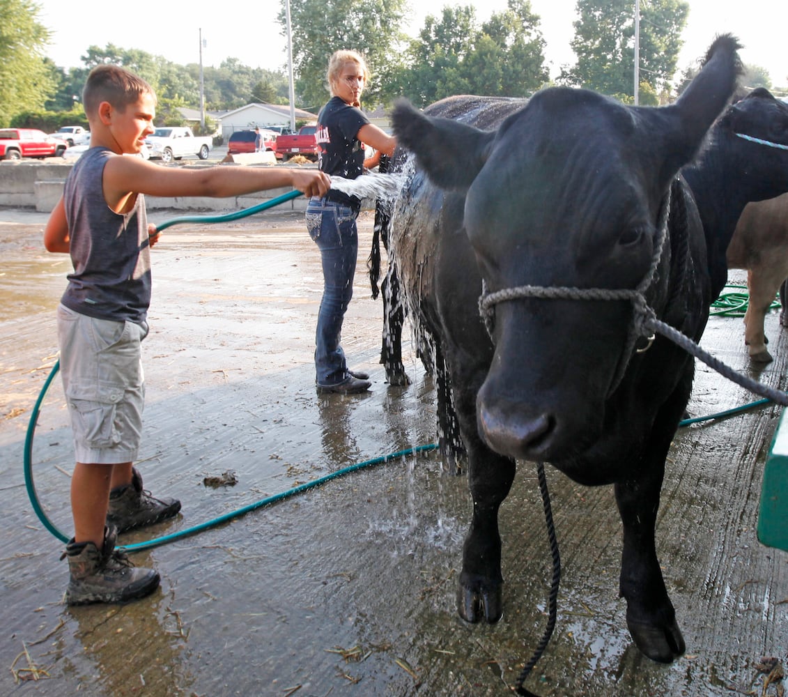 PHOTOS: What we saw at the 2019 Greene County fair