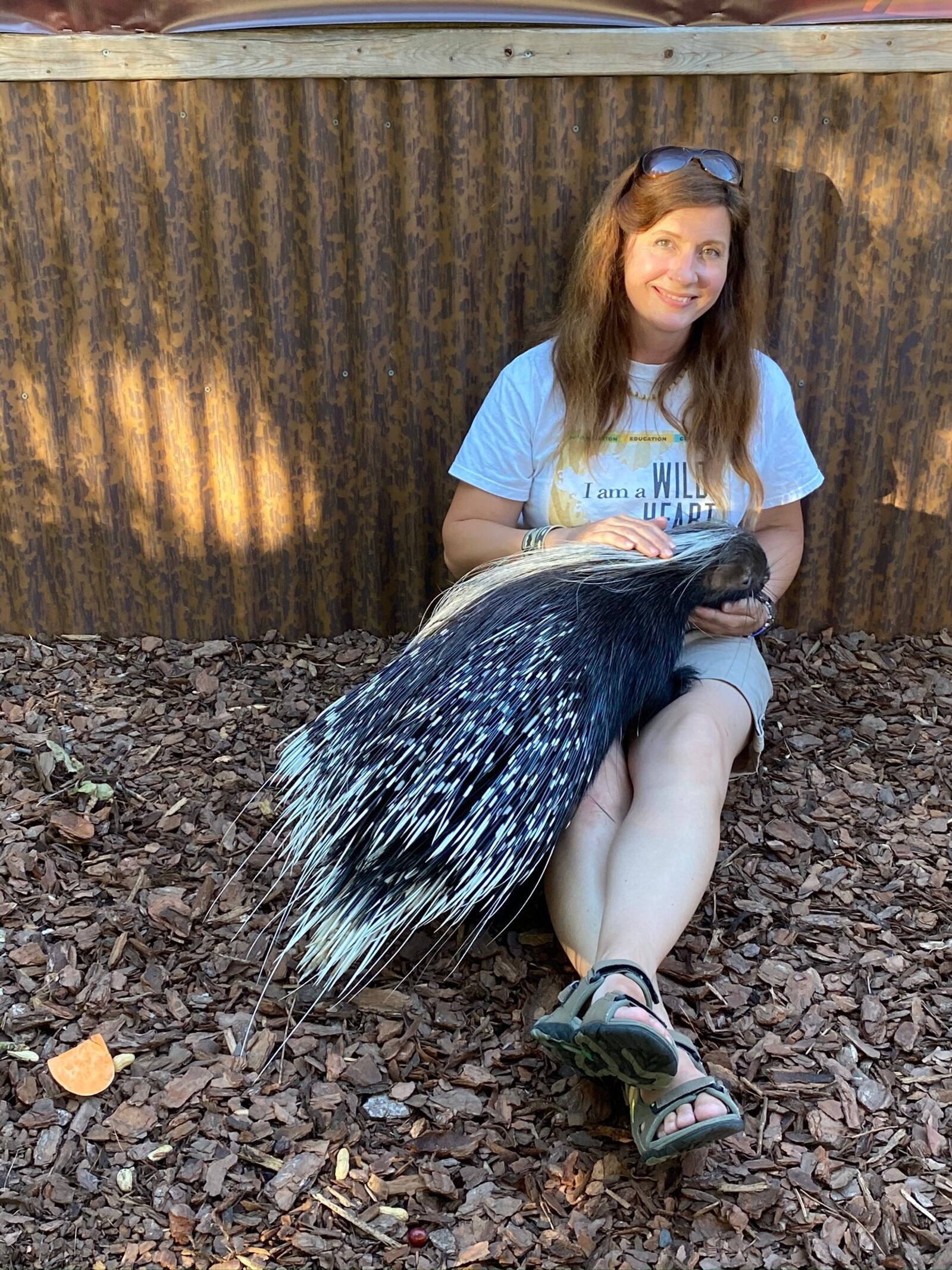 Amanda Badger pets her African crested porcupine.