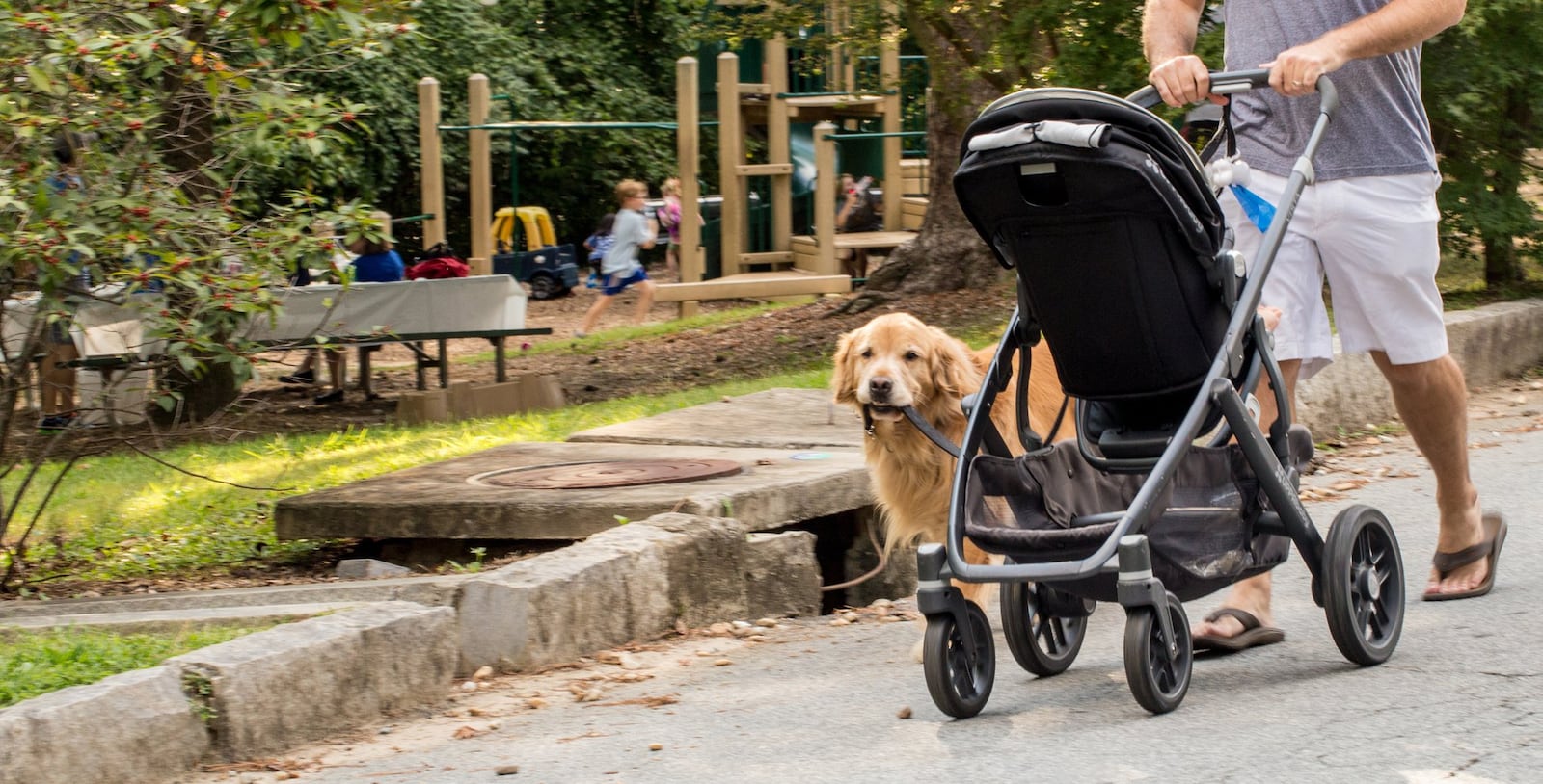 Fletcher carries his leash as he heads home past Orme Park in Virginia-Highland. (Jenni Girtman / Atlanta Event Photography)