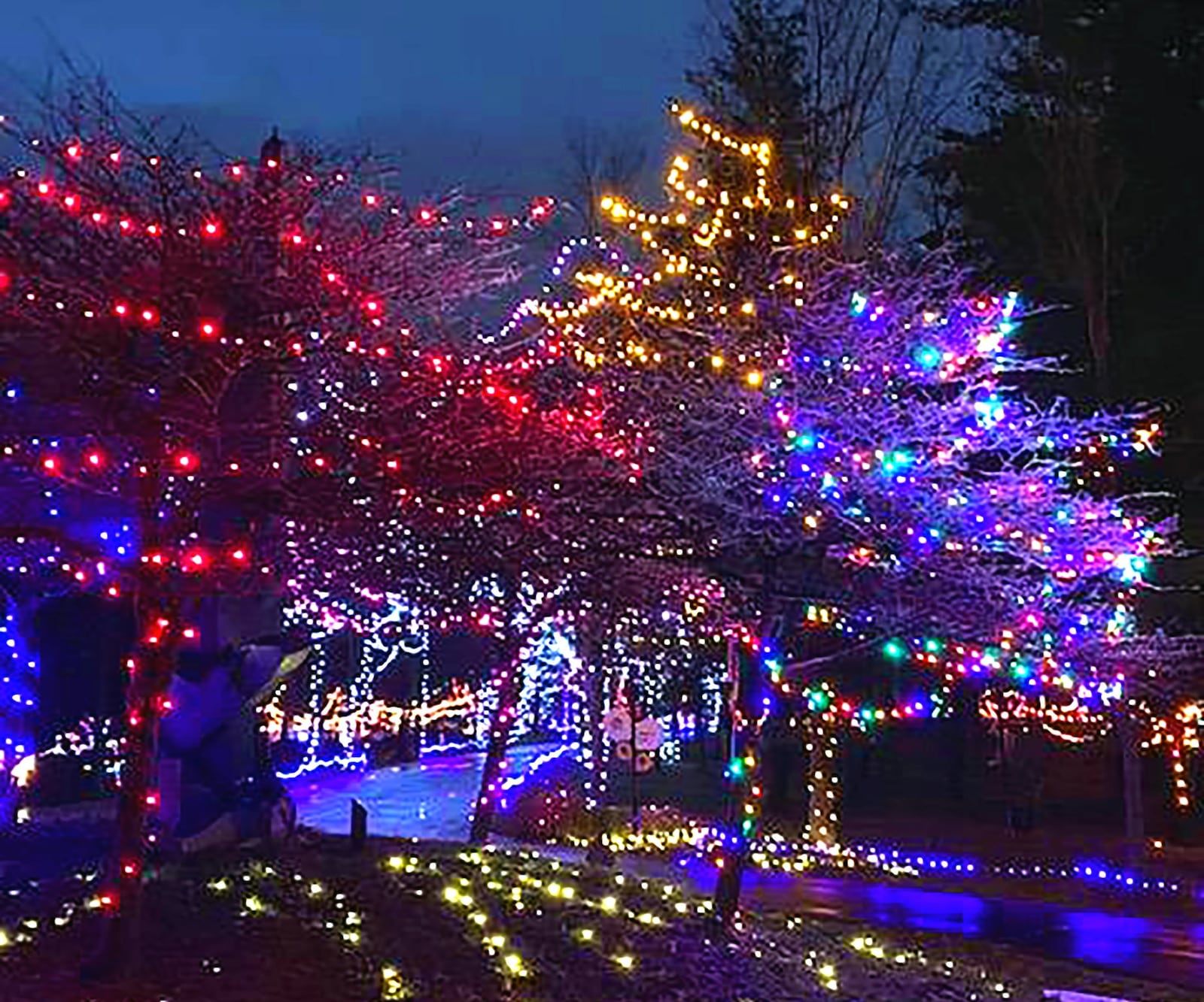 Holiday Lights on the Hill at Pyramid Hill offers guests a holiday light experience that brings art and nature together. The popular attraction will be open from Nov. 22 through Jan. 5. CONTRIBUTED