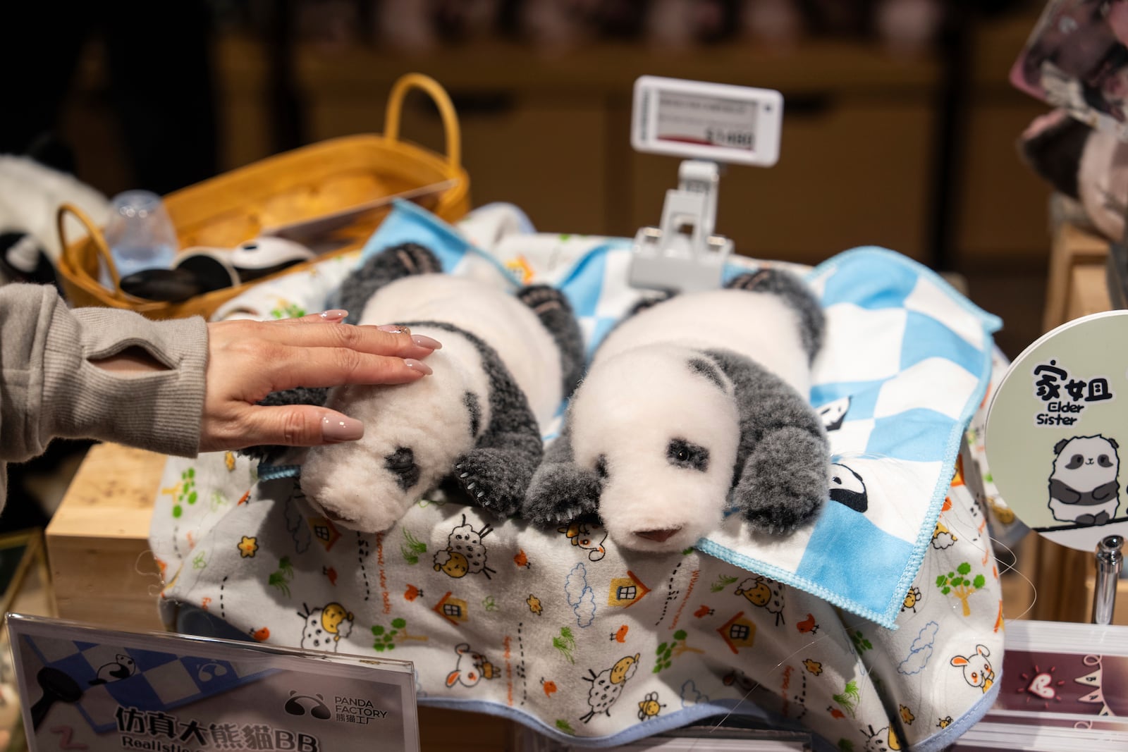 Souvenirs of the Hong Kong-born giant panda twin cubs are displayed at a shop in Ocean Park as they make their debut appearance to public in Hong Kong, Sunday, Feb. 16, 2025. (AP Photo/Chan Long Hei)