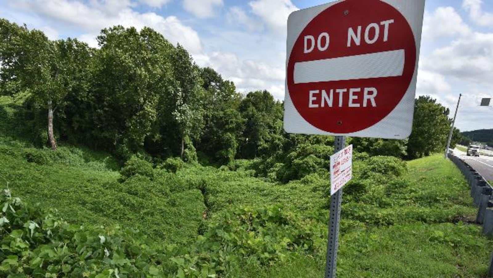 Kudzu is seemingly everywhere in the South. Everywhere, that is, but on the dinner plate.