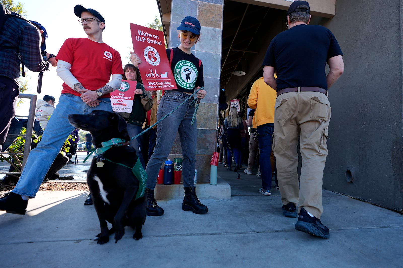 Former Starbucks shift supervisor Allie Leslie with her dog, Pip, joins Starbucks baristas and other workers at the start of a five-day strike to protest a lack of progress in contract negotiations with the company Friday, Dec. 20, 2024, in Burbank, Calif. (AP Photo/Damian Dovarganes)