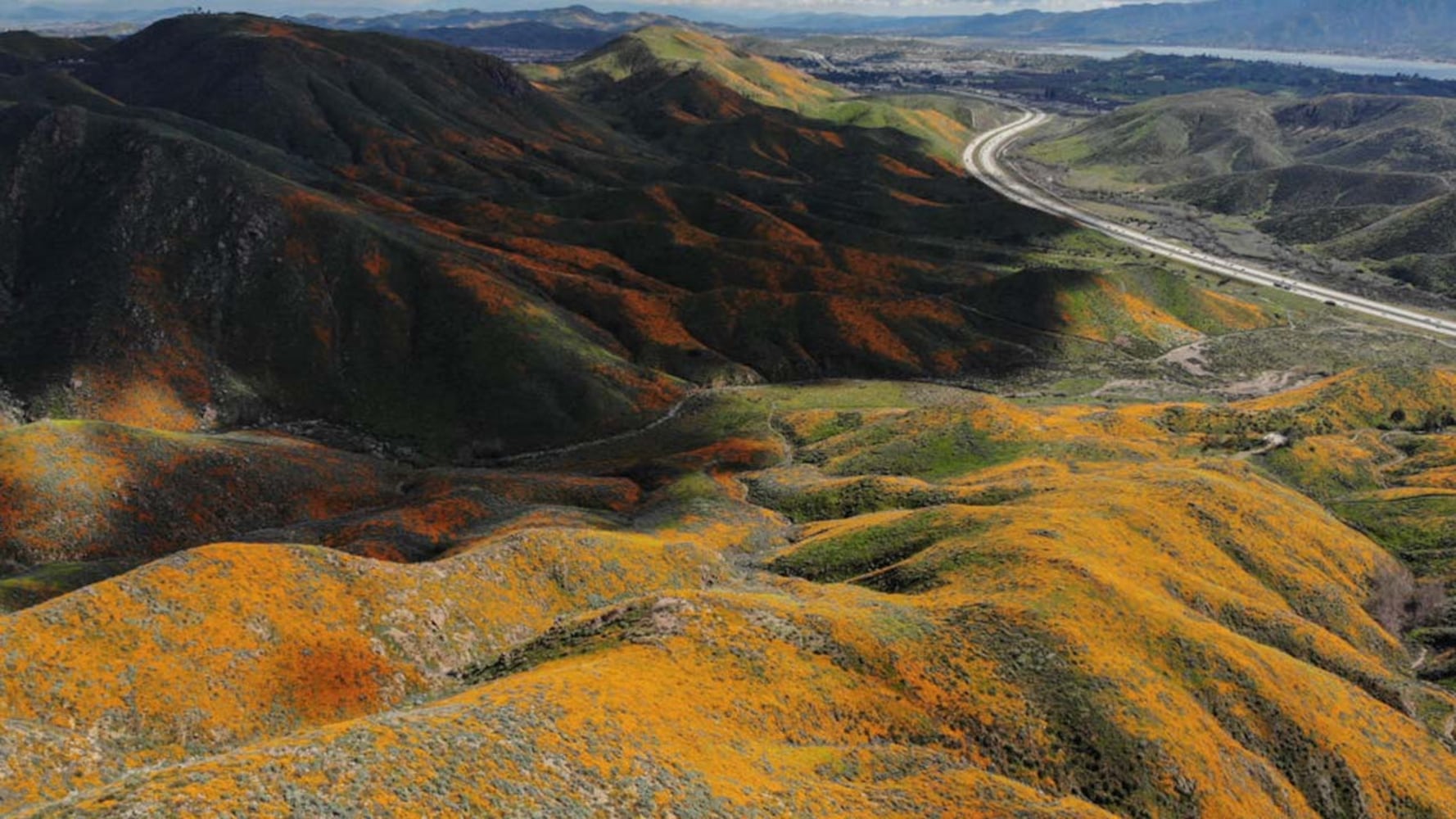 Photos: Spectacular wildflower super bloom in California