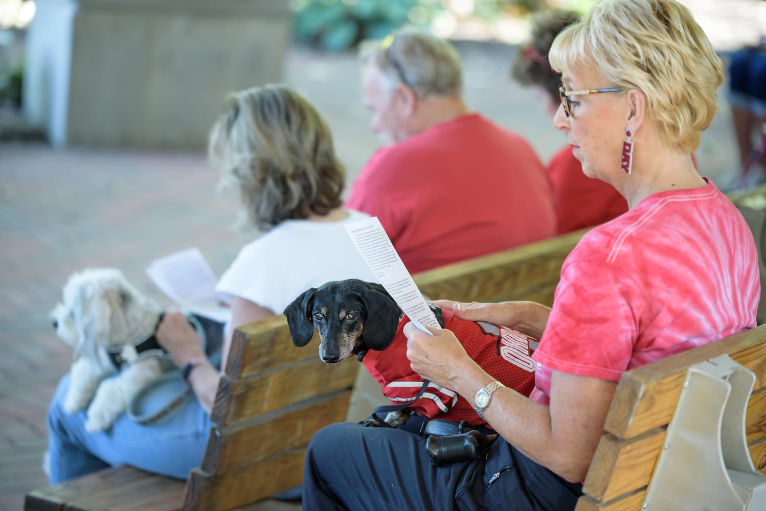 PHOTOS: 2024 Blessing of the Animals at Epiphany Lutheran Church