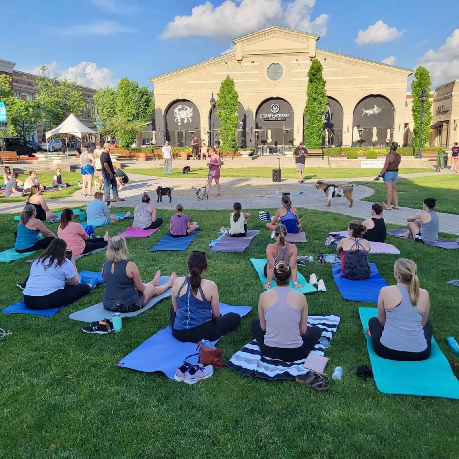 GoatCountry LLC will return to The Greene for goat yoga classes in the center court - contributed