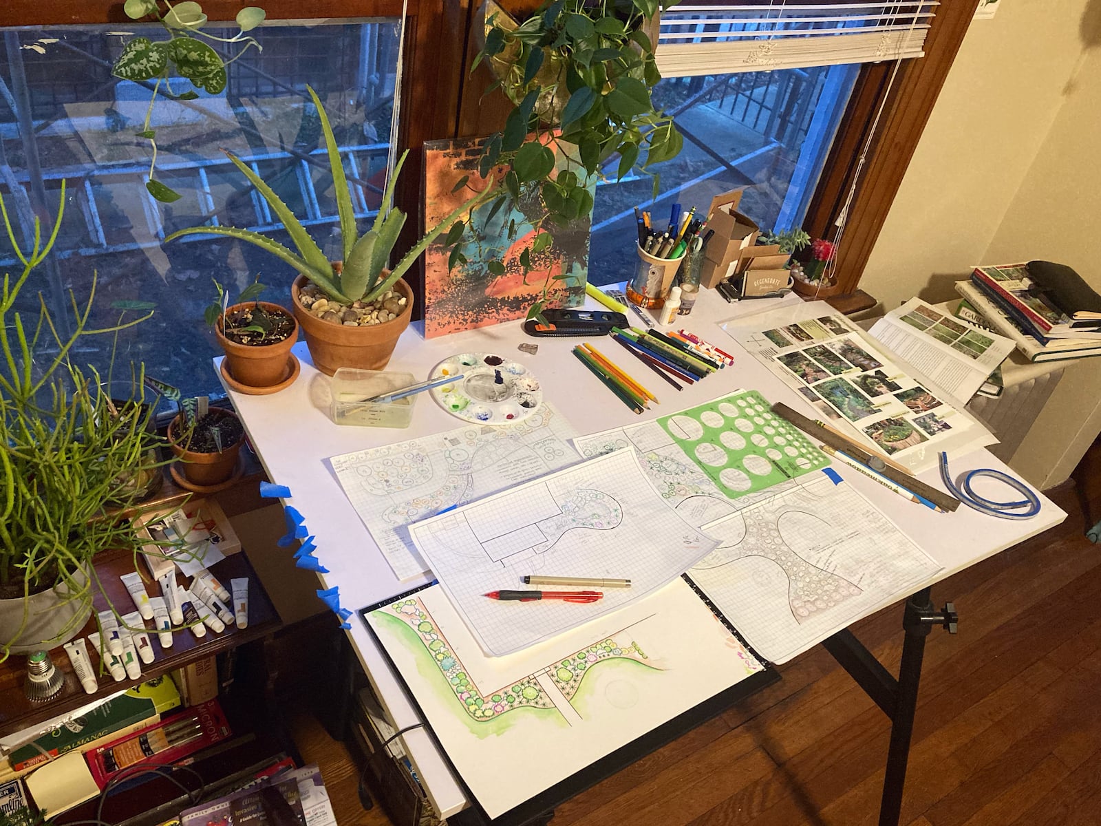 Regenerative landscaper Jonny Thomas works on blueprints in his home design studio.