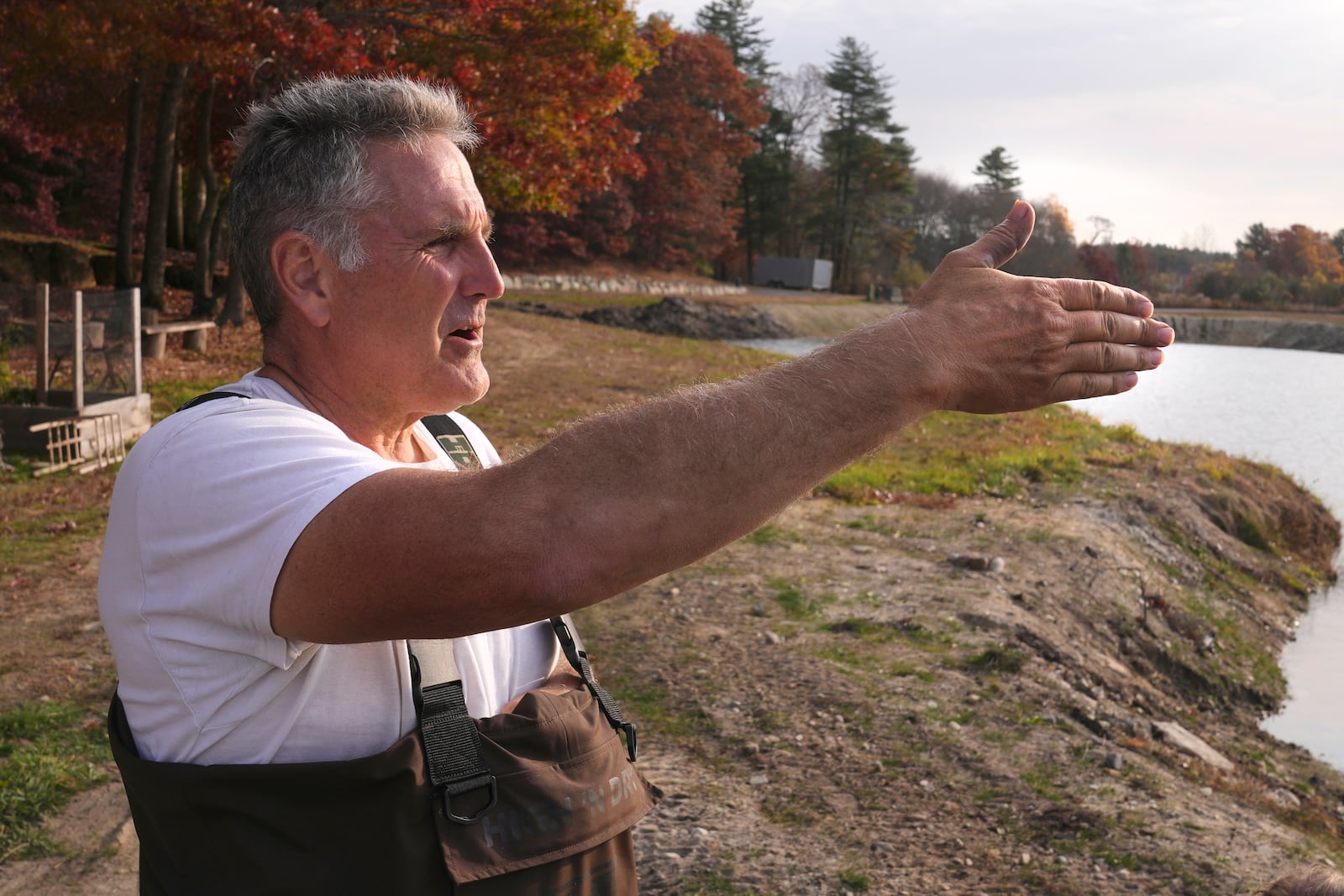 Steve Ward, a second-generation cranberry grower, gestures from the edge of his bog during a harvest at Rocky Meadow Bog, Friday, Nov. 1, 2024, in Middleborough, Mass. (AP Photo/Charles Krupa)