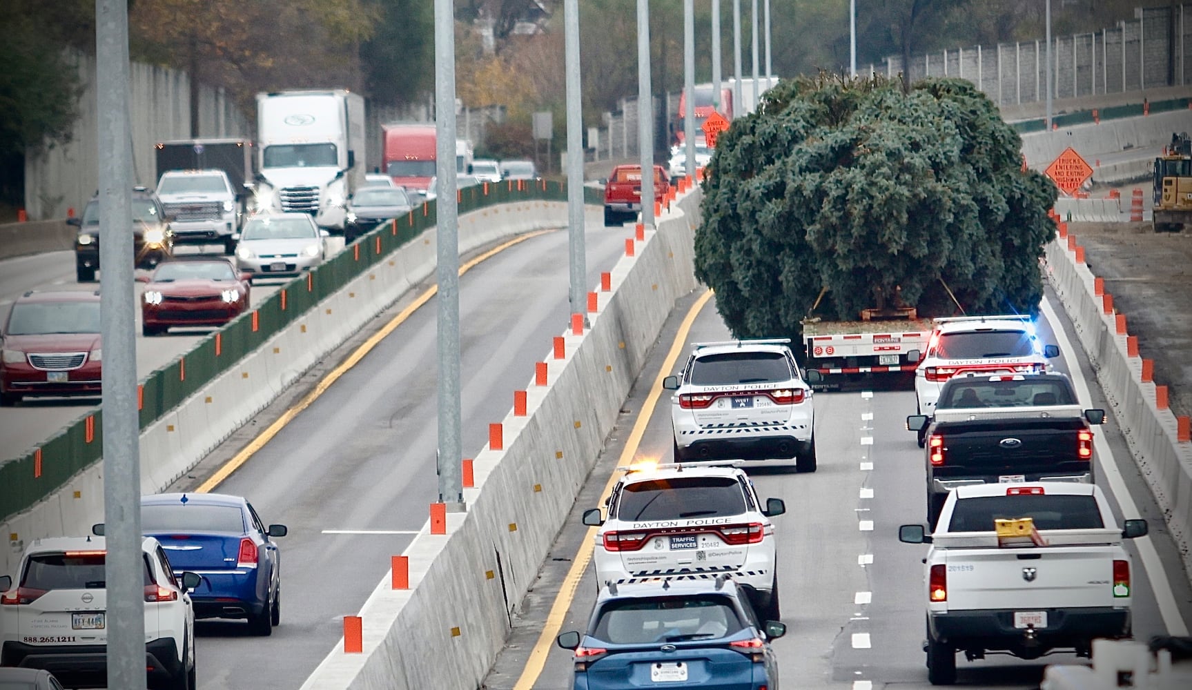 Dayton Holiday tree 2024