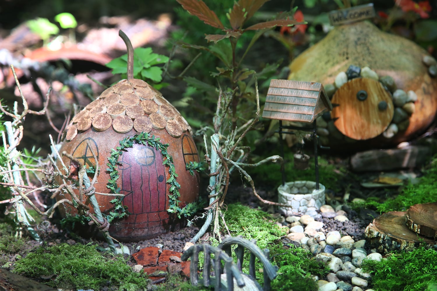 PHOTOS: Tiny communities perfect for pixie living