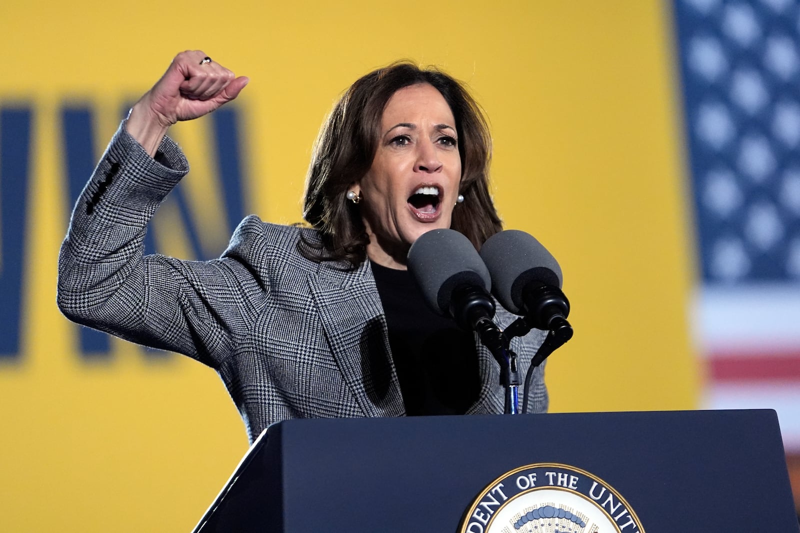 Democratic presidential nominee Vice President Kamala Harris speaks at a campaign event in Burns Park Monday, Oct. 28, 2024, in Ann Arbor, Mich. (AP Photo/Paul Sancya)