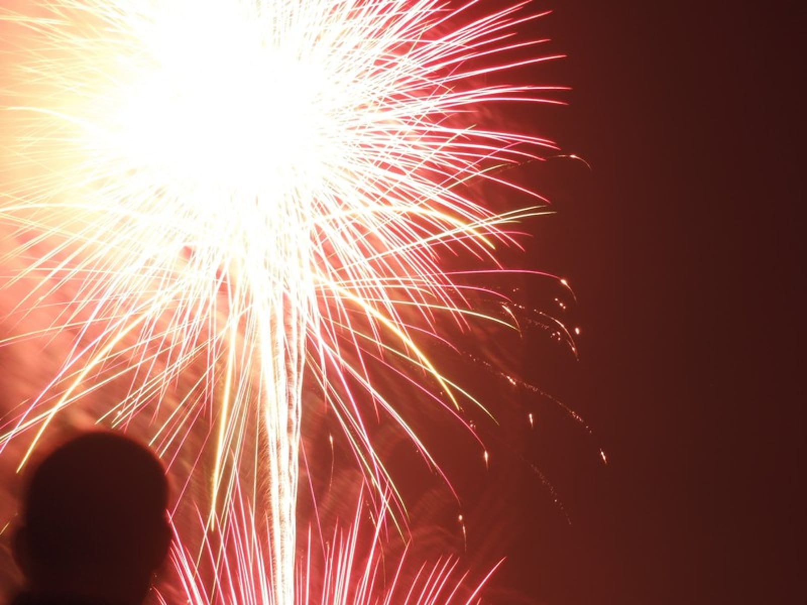 Fireworks are shown from the Kevin Sonnycalb Memorial Fireworks and Xenia Rotary & Greene Memorial Hospital Fireworks Festival in 2015 at Shawnee Park. STAFF