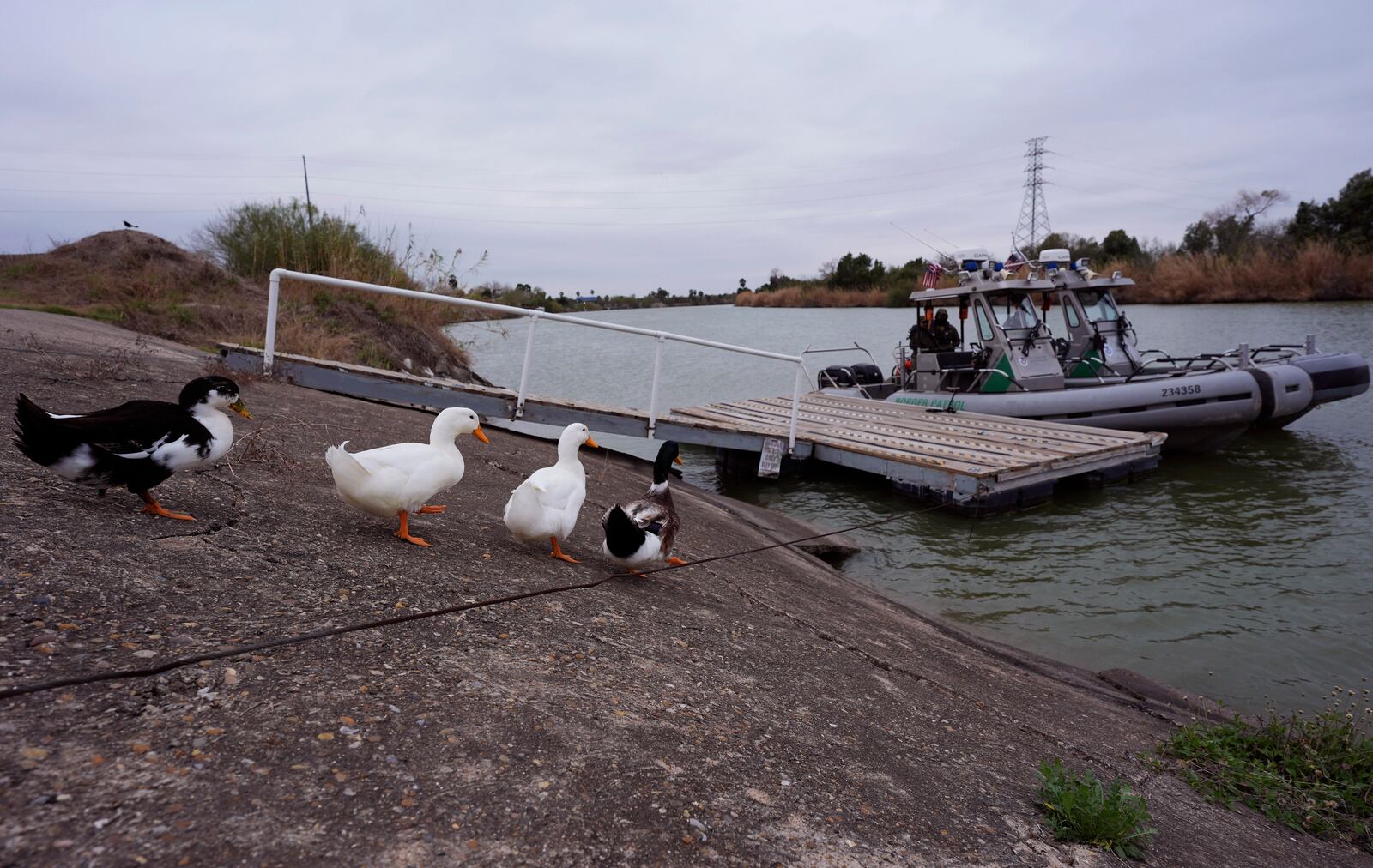 Ducks pass border patrol agents patrol preparing to patrol along the Rio Grande at the U.S.-Texas border, Thursday, Feb. 13, 2025, in McAllen, Texas. (AP Photo/Eric Gay)