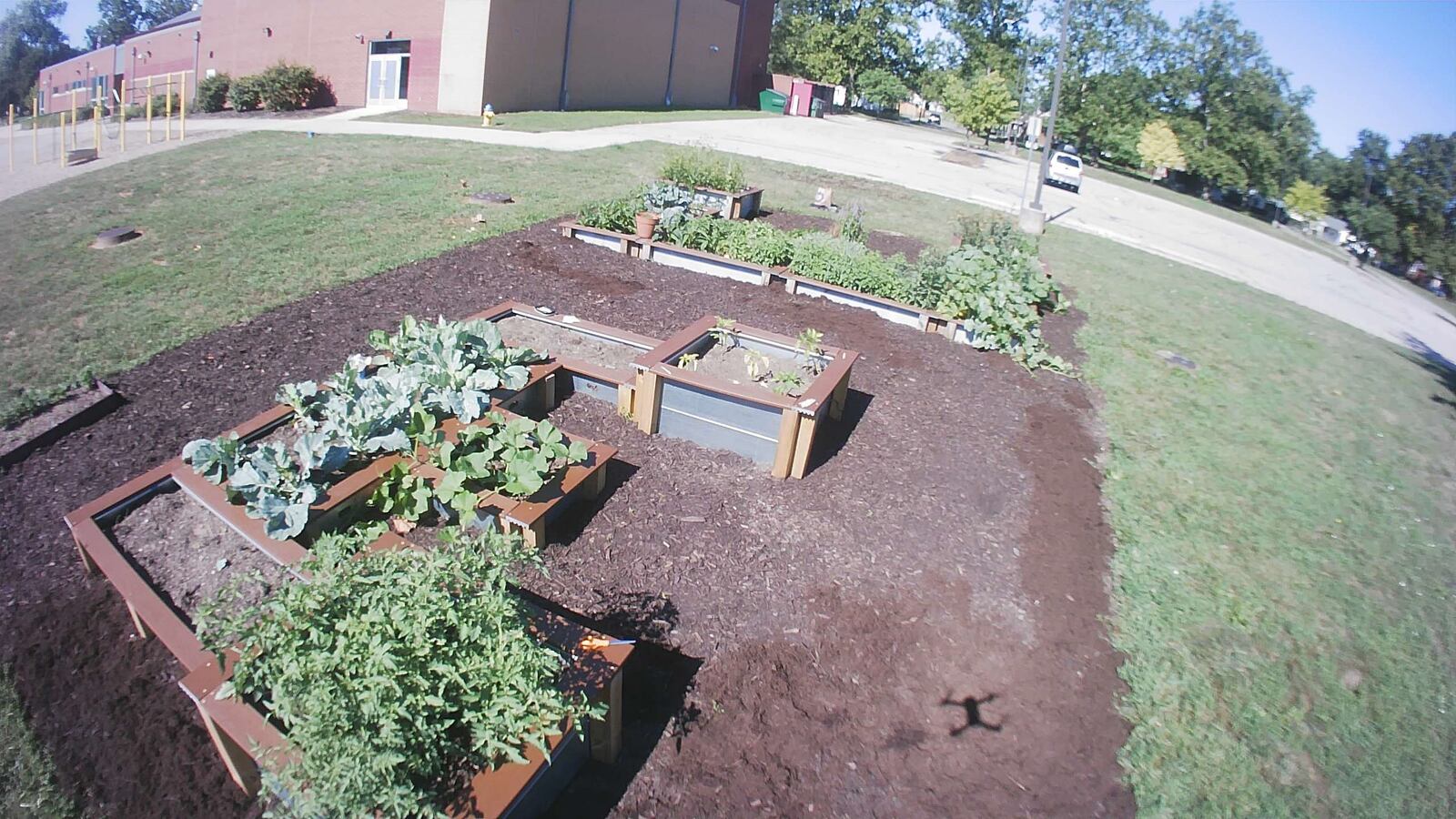 The Westwood Elementary garden is in the shape of a "W" for Westwood and an "E" for Eagles. CONTRIBUTED