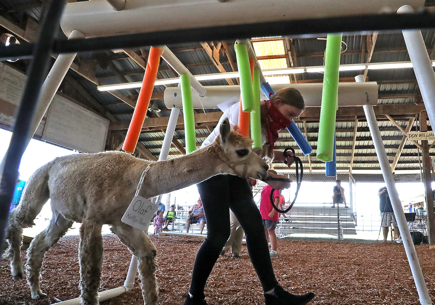 Clark County Fair