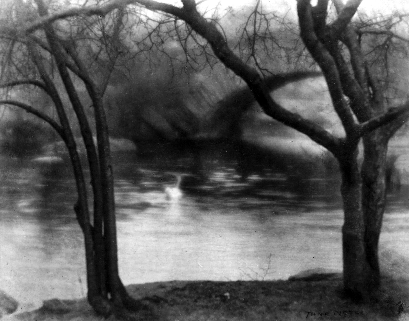 “Home of the Swan” was photographed by Jane Reece in New York City’s Central Park in 1909. PHOTO COURTESY OF THE DAYTON ART INSTITUTE