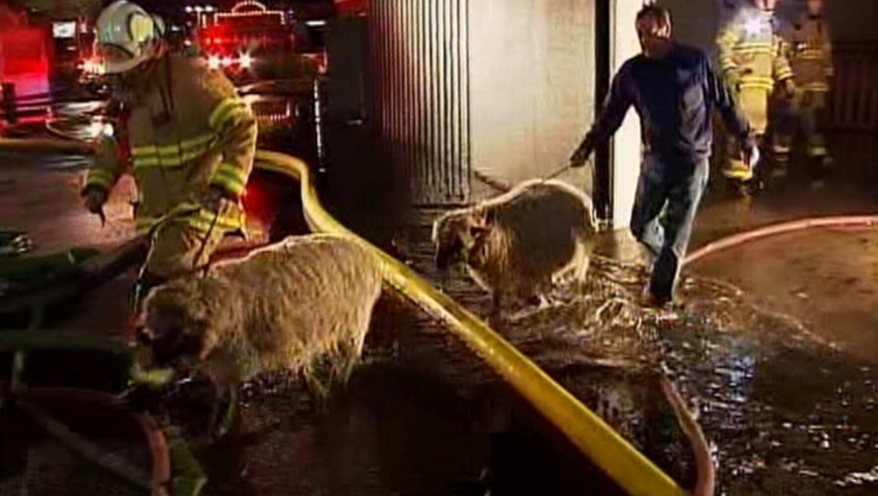 Fire at Washington State Fair Evergreen Hall