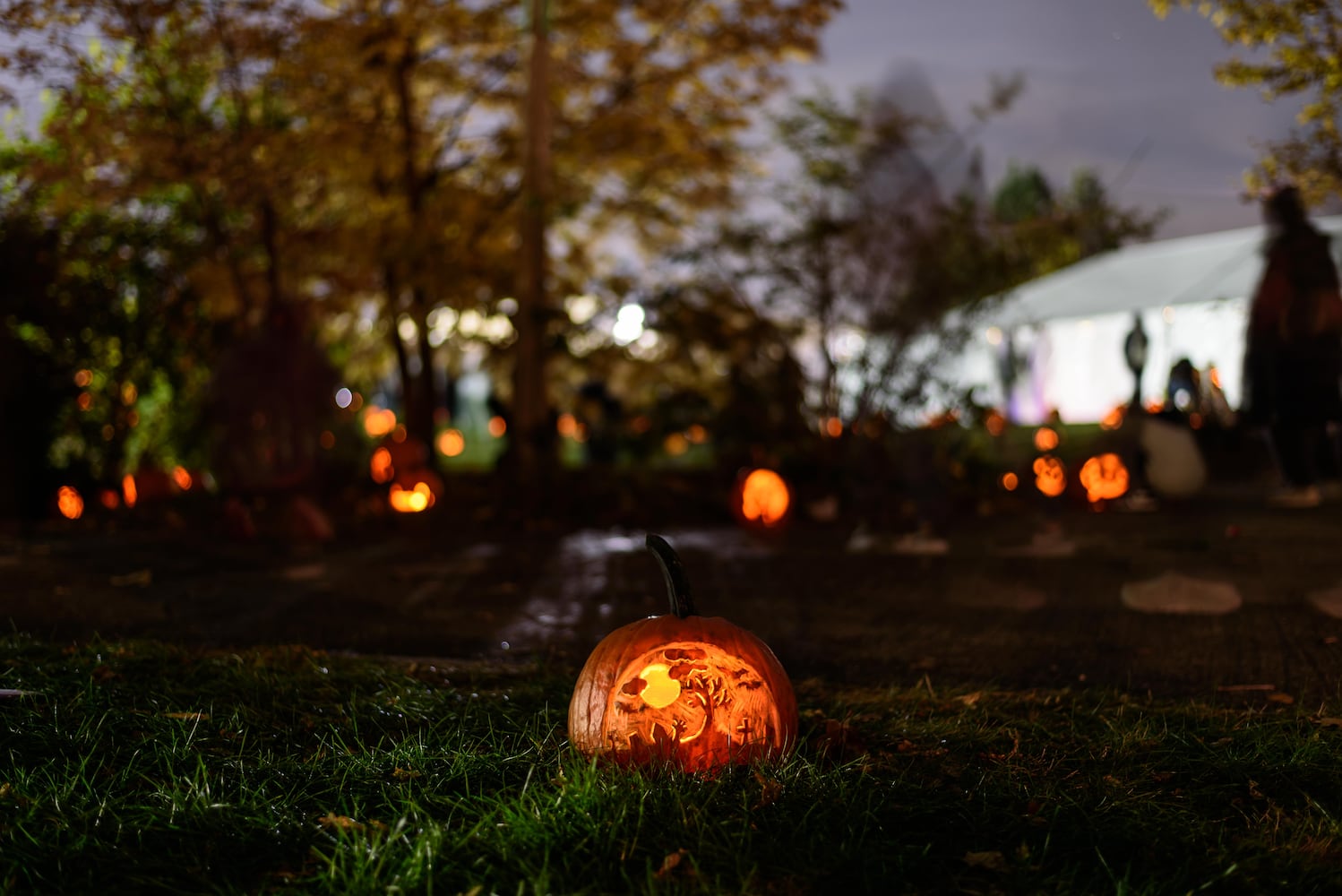 PHOTOS: The 30th annual Stoddard Avenue Pumpkin Glow