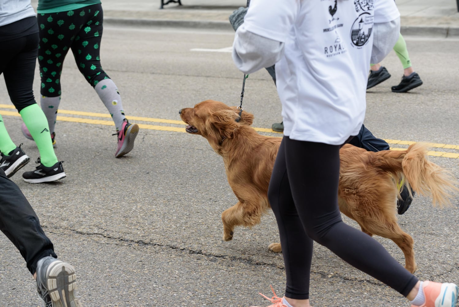 PHOTOS: St. Paddy's Day 3.1 Beer Run 2024 in Downtown Tipp City