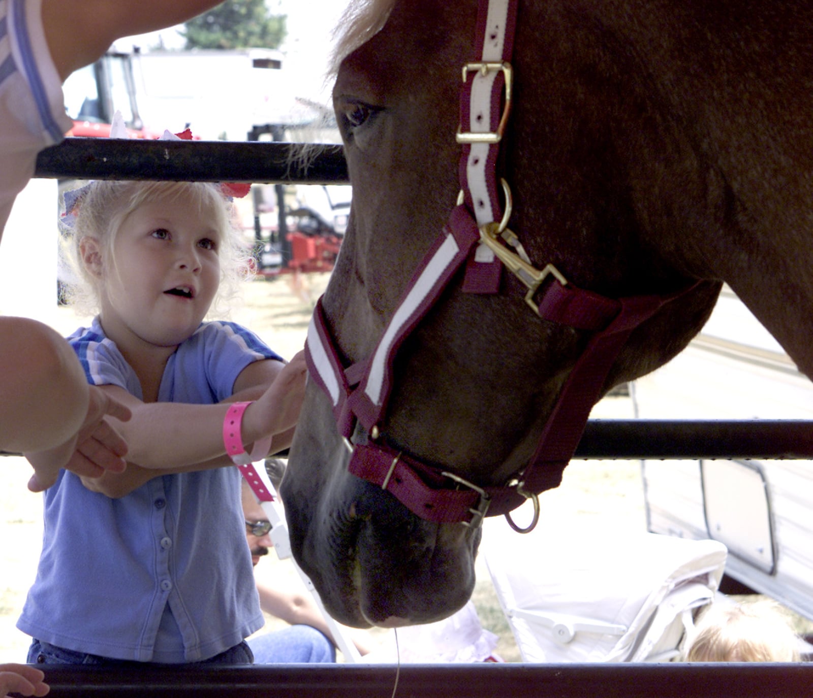 Shelby County Fair, Steffany Osborne, 6, reaches out to touch a Belgian Horse owned by Barhorsts of Ft. Loramie while visiting the fair. The horse was on display for the public.