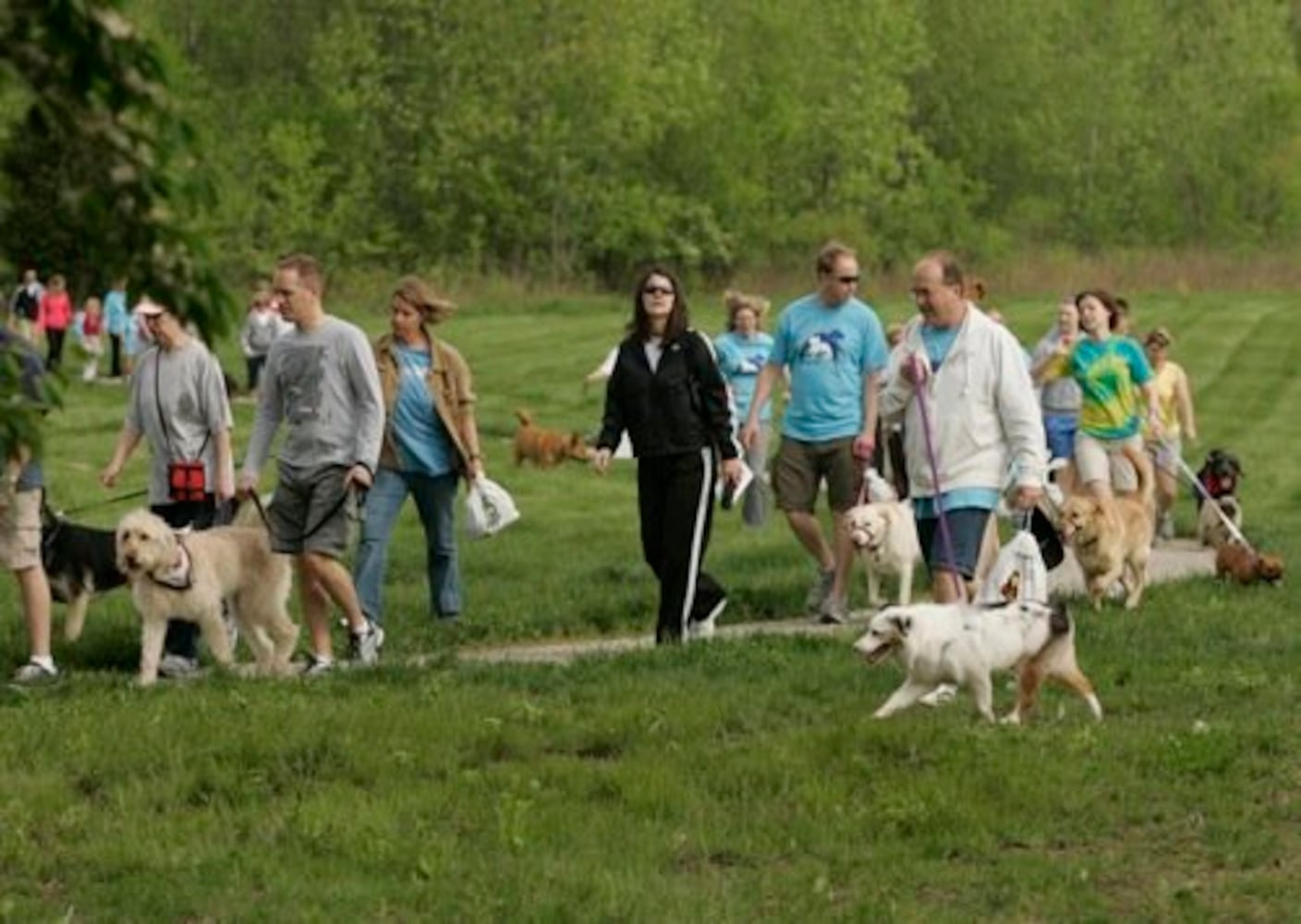 Furry Scurry walk