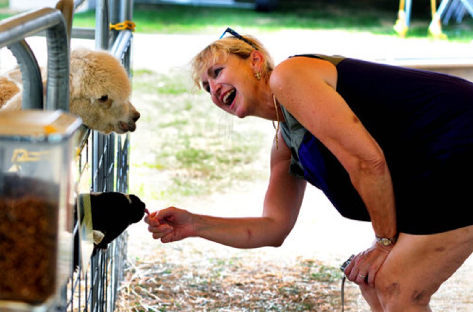 Rides, food, games and animals add up to a day of fun at the Preble Co. Fair in Eaton. The 2023 fair opens July 25.