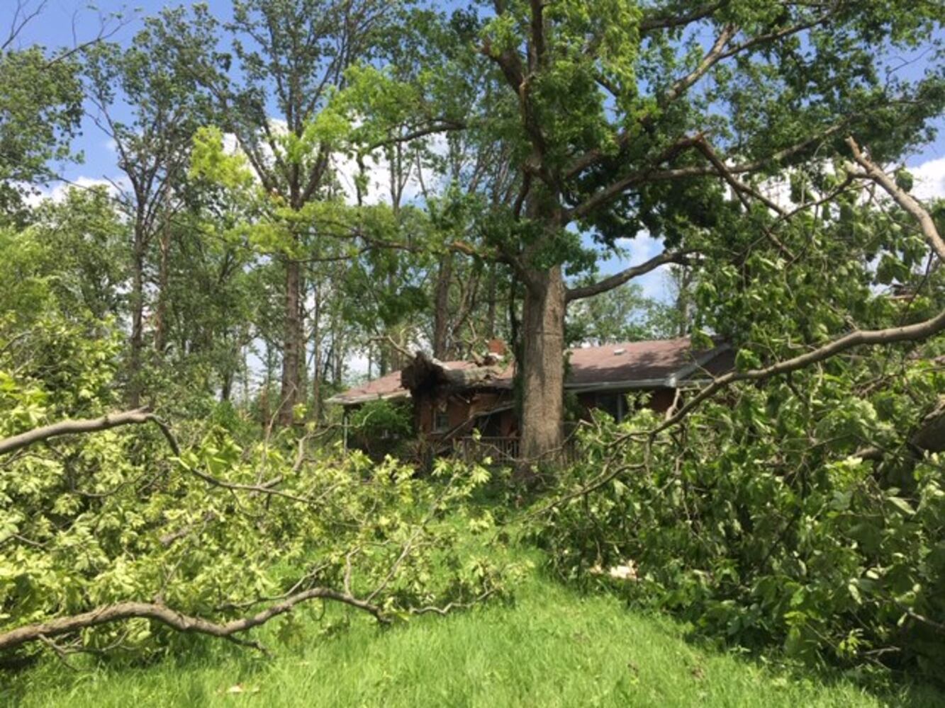 PHOTOS: Daylight reveals widespread damage from Monday storms