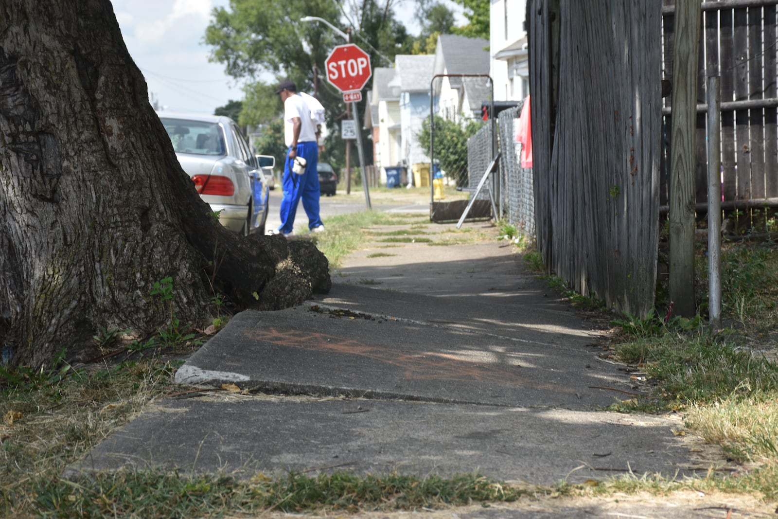 Tree roots have dislodged part of the sidewalk on Clover Street in East Dayton. The city plans to make sidewalk and curb improvements on Clover Street. CORNELIUS FROLIK / STAFF