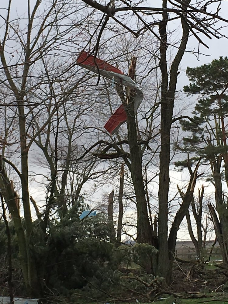 Arcanum Tornado Damage - Debris in Tree