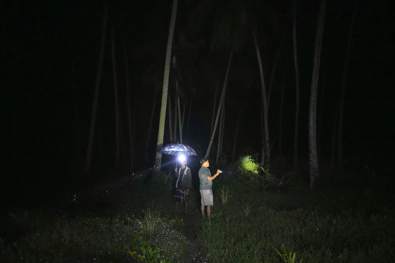 Sudirman, left, and Irfan stand among the coconut trees as they inspect their fish and shrimp ponds in Budong-Budong, West Sulawesi Island, Indonesia, Monday, Feb. 24, 2025. (AP Photo/Dita Alangkara)