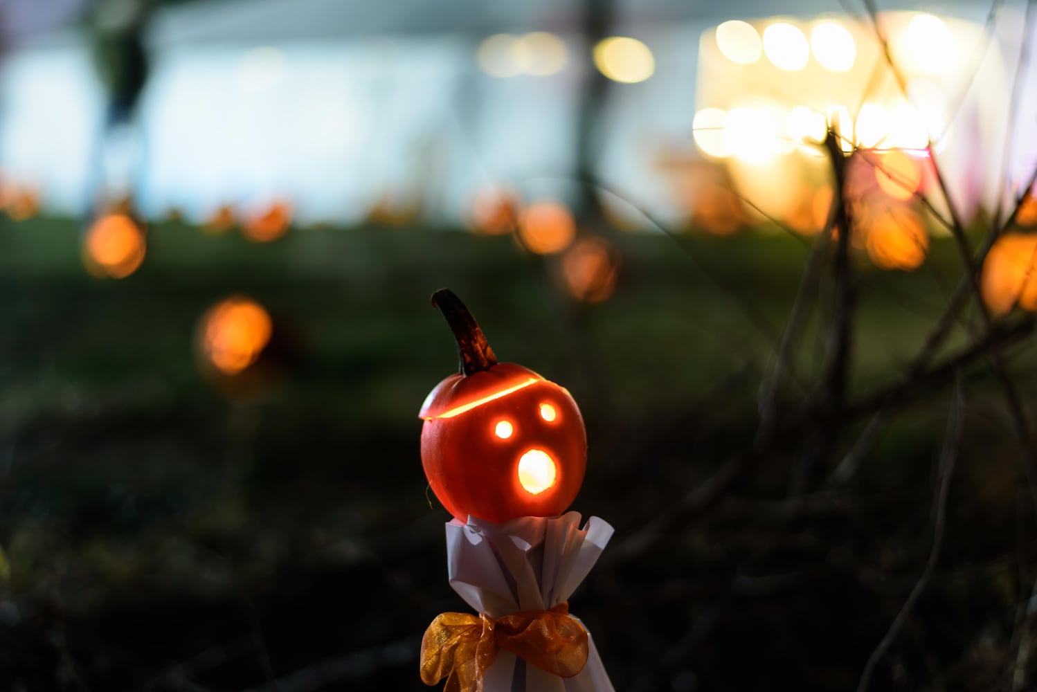 PHOTOS: The 30th annual Stoddard Avenue Pumpkin Glow