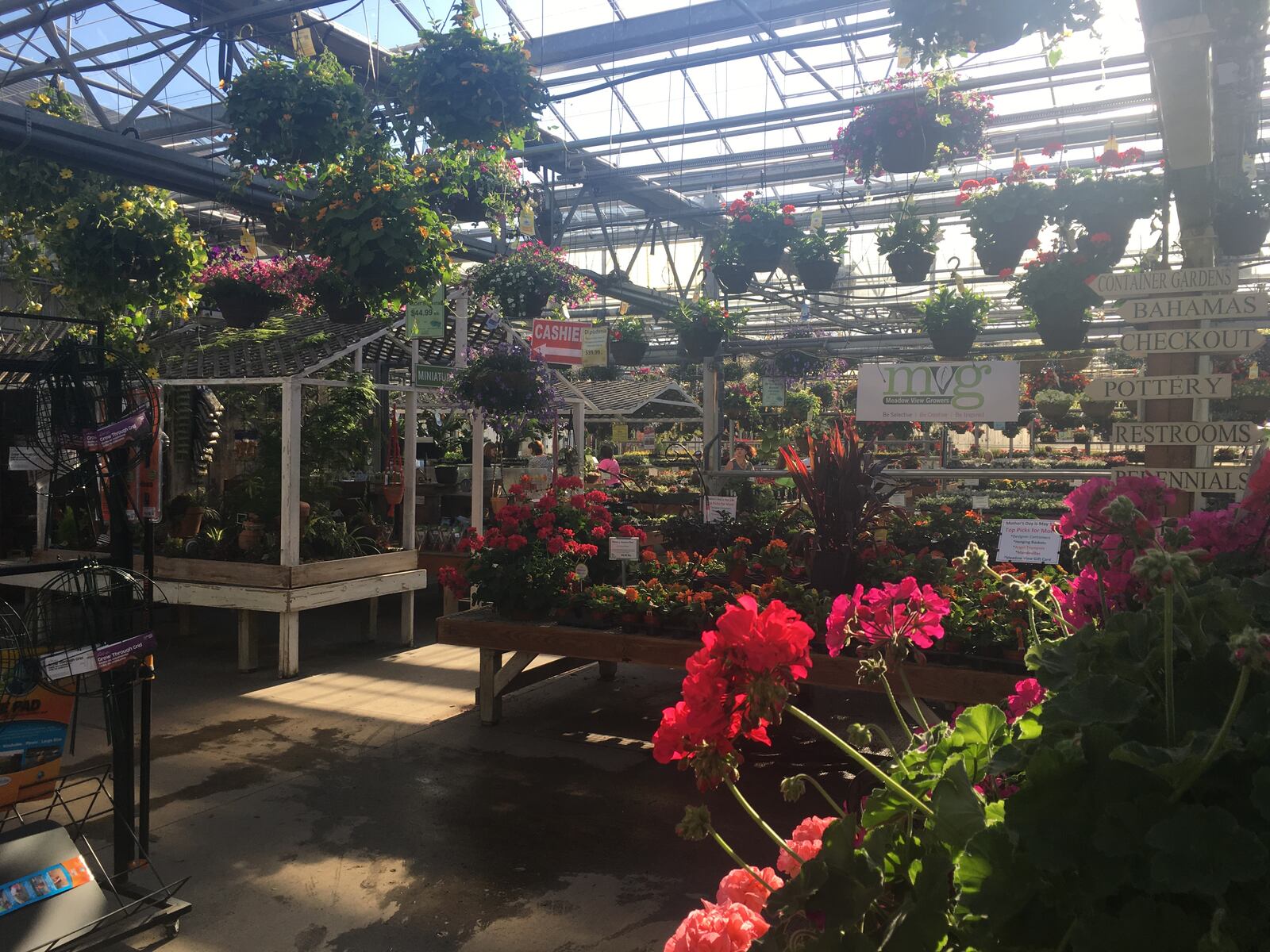 Meadow View Growers in New Carlisle has an abundance of greenery, flowers, foliage and decor to transform your garden or yard into a beautiful outdoor oasis.