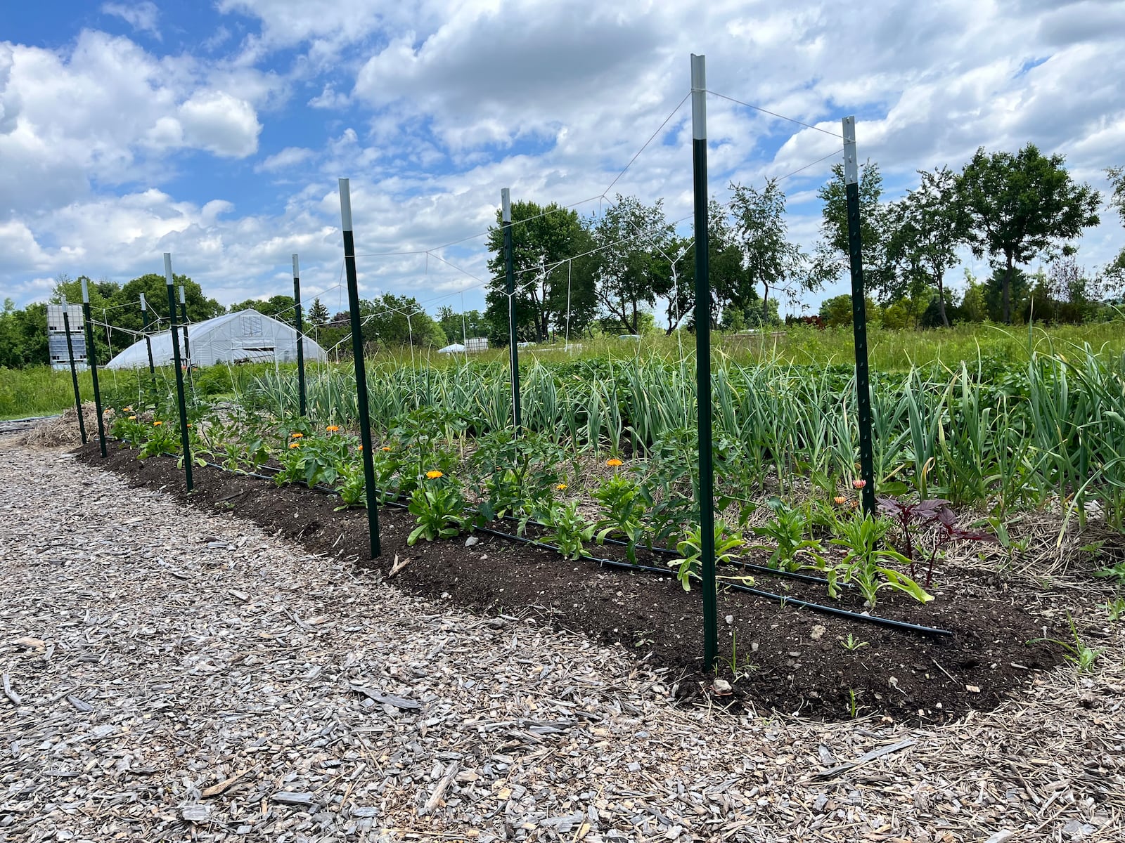 Oak & Ember Farms is a 36-acre regenerative farm with 10-acres of forest and a 5-acre lake at 2645 Olt Road, just outside of Dayton in Jefferson Twp. NATALIE JONES/STAFF