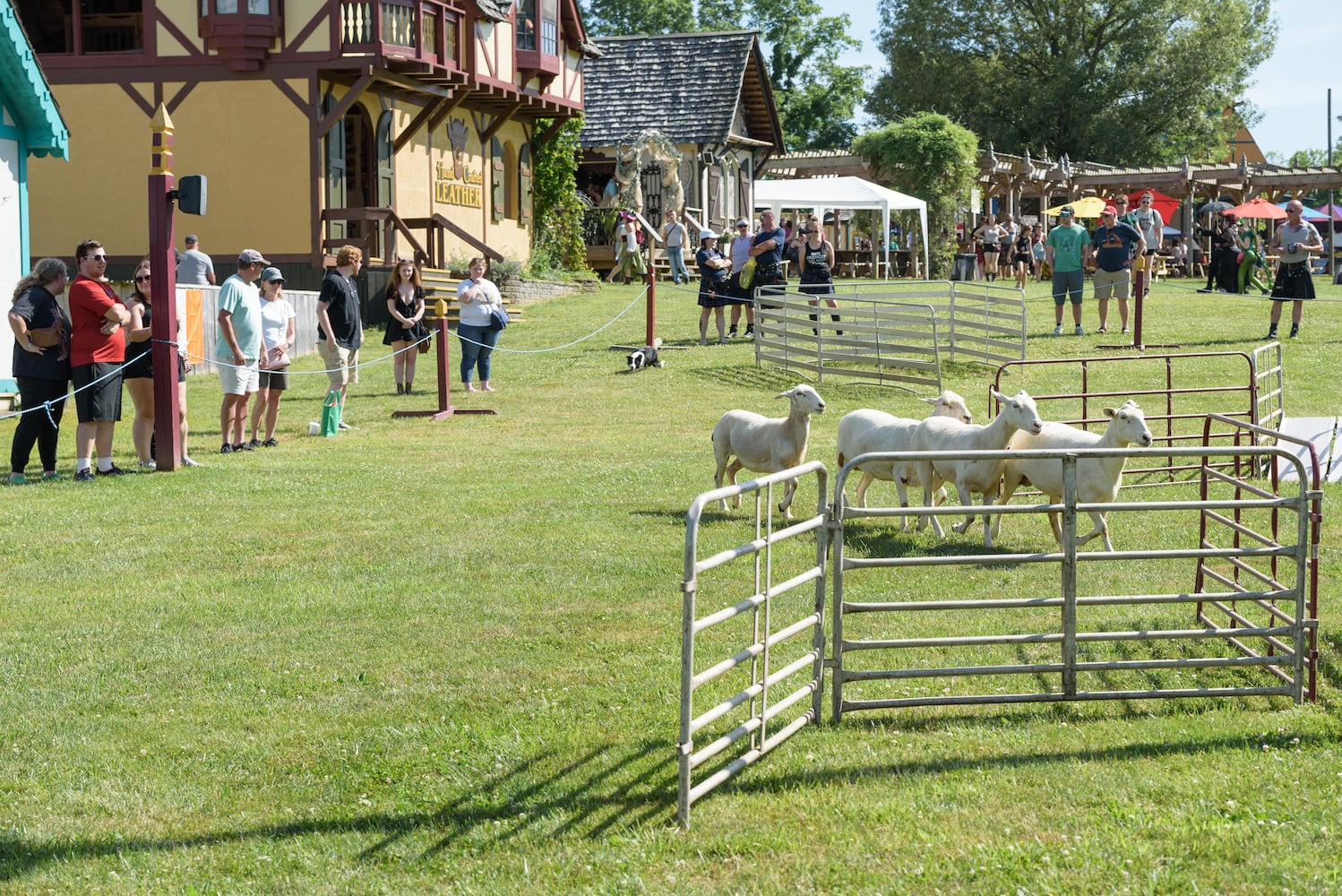 PHOTOS: 2024 Celtic Fest Ohio at Renaissance Park