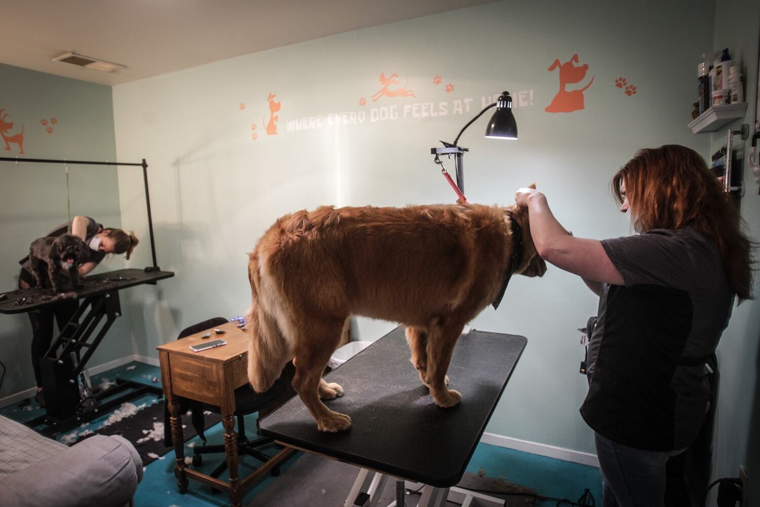 House of Paws Grooming Salon gets CARES grant