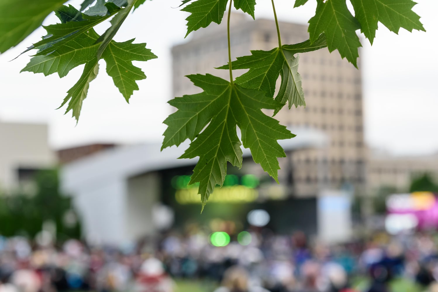 PHOTOS: The Vindys with The Hathaways live at Levitt Pavilion