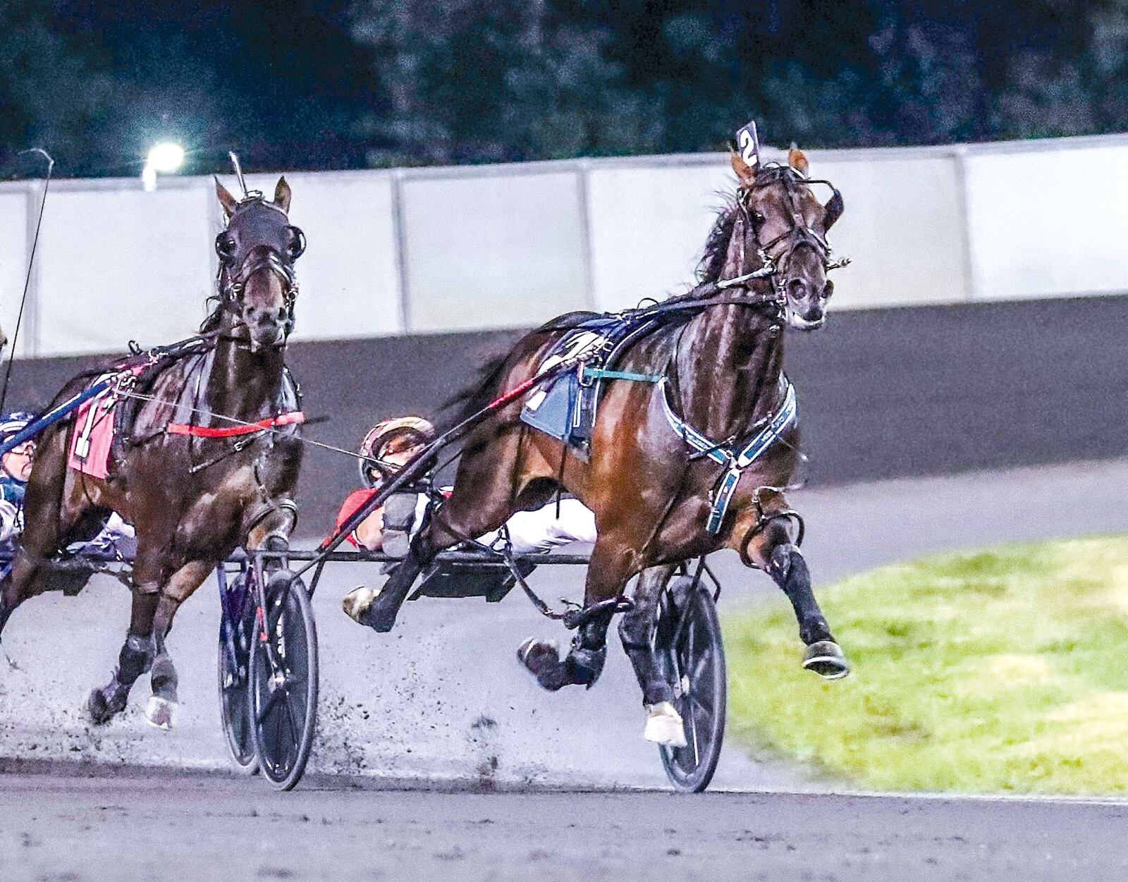 Bulldog Hanover (right) during a recent race. Mark Hall/ USTA